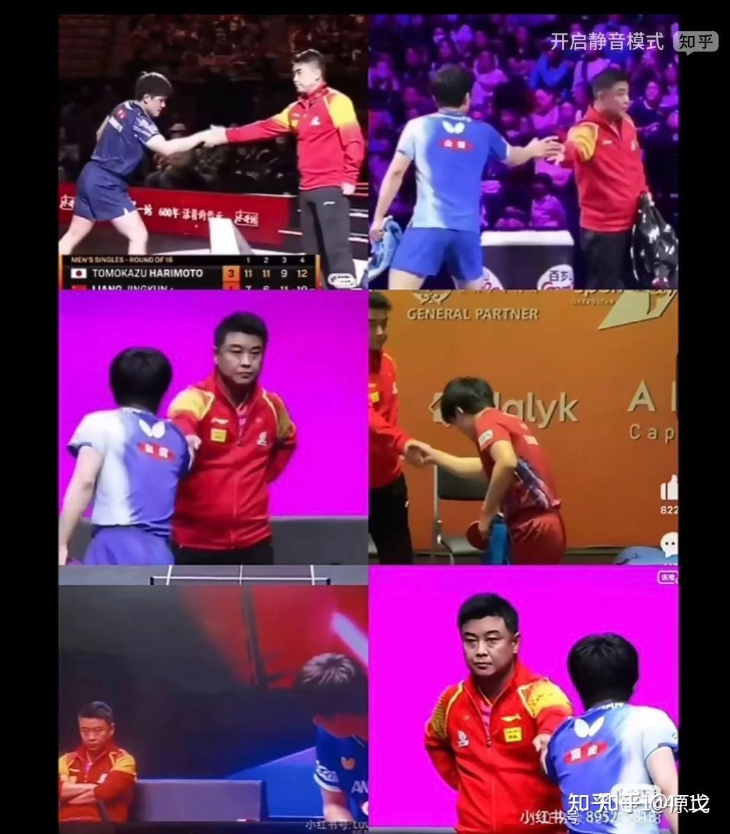 比利时乒乓球队翻盘英国乒乓球队，王皓统治全场的简单介绍