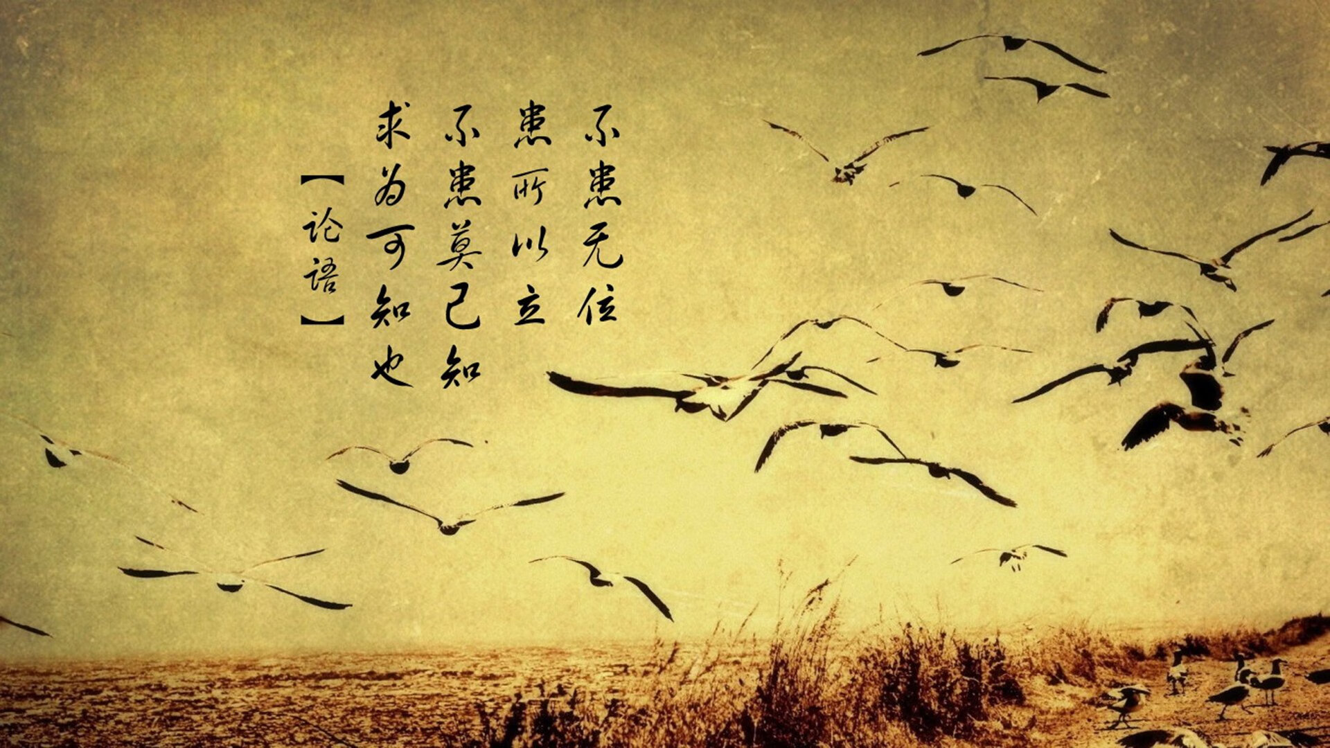 绝境反拍，穆雷如何用一场胜利定义团队网球的真正含义