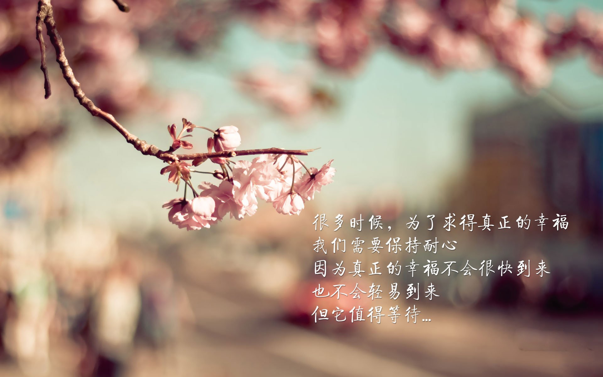 吉林复仇者联盟诞生记，当全队化身东契奇