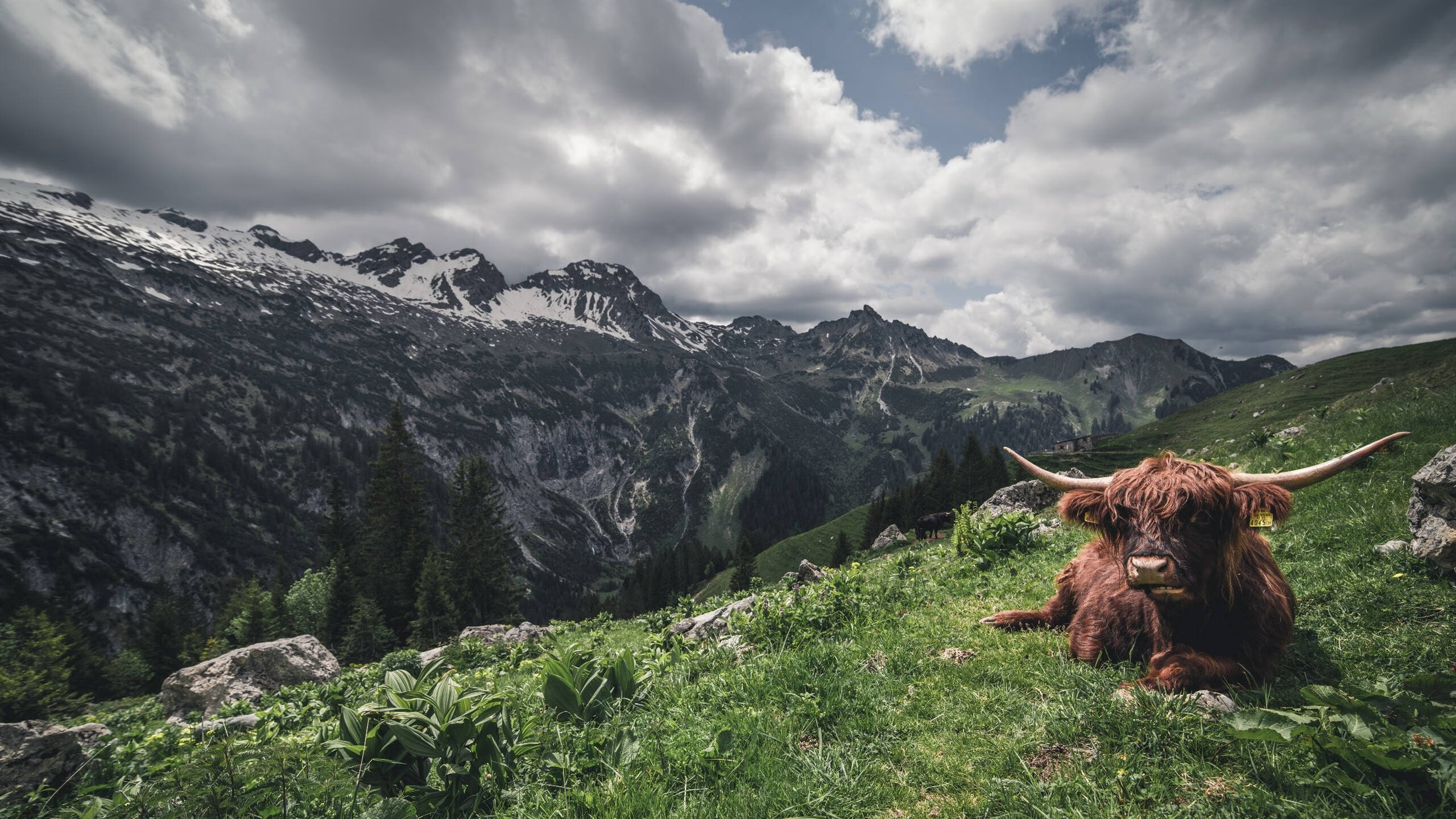 棋局之外，当东决战火点燃伊朗横扫巴黎的隐喻