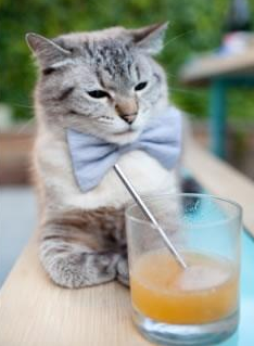 唯一的裂缝，唯一的答案，萨卡撕裂那不勒斯的夜与昼