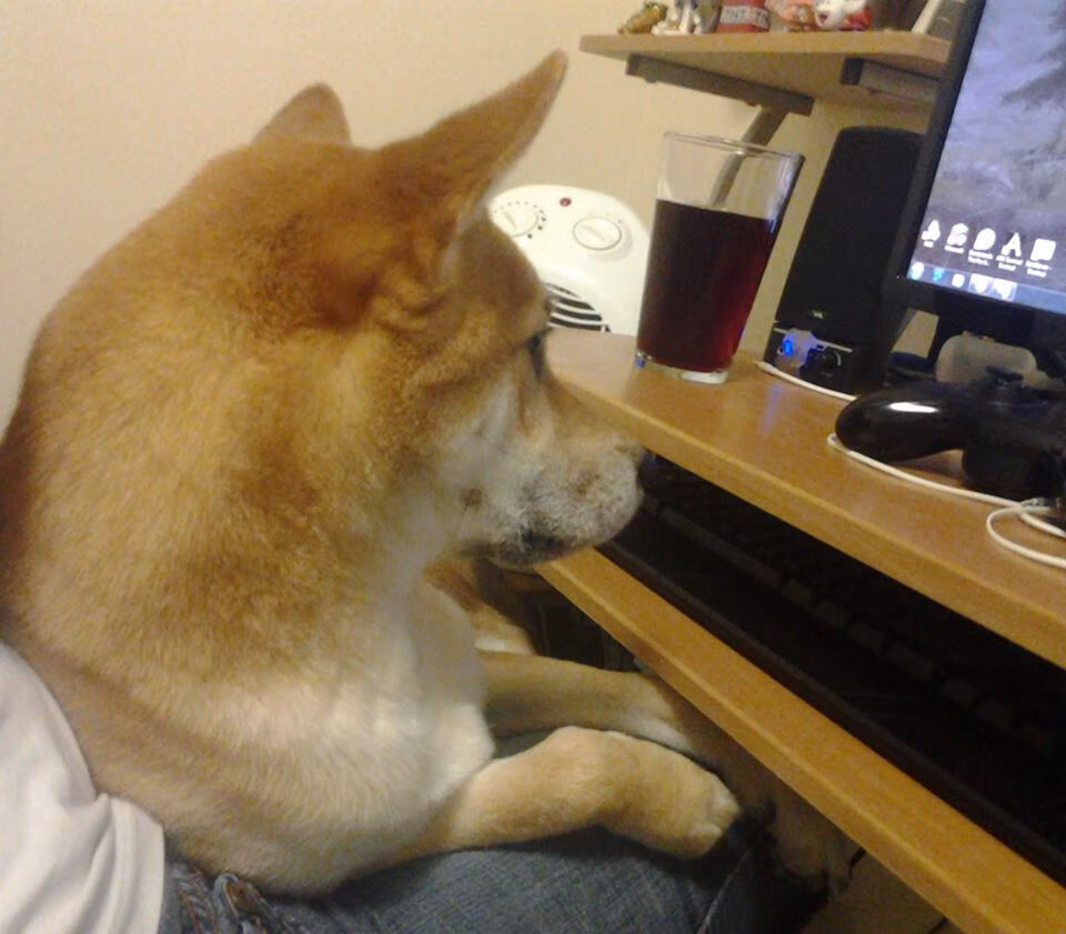 开云体育登录-草根逆袭！山西队淬火成钢，米切尔末节19分强行终结卫冕冠军掘金