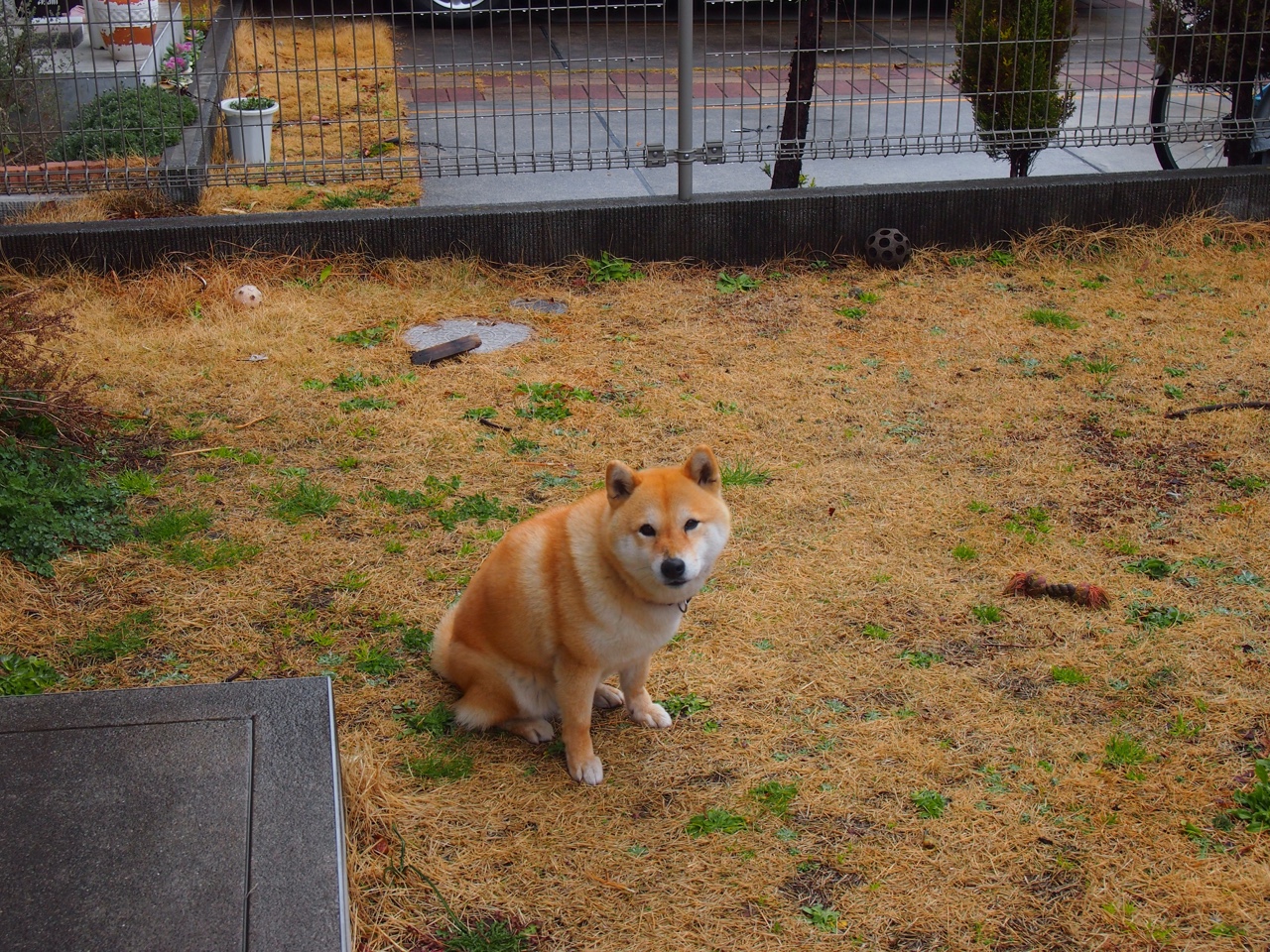 双城记，从伦敦的欧冠焦点战到NBA的北境争霸