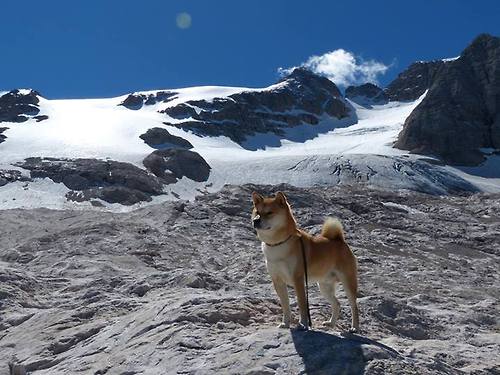 开云sport-卡马文加的无解之道，当牙买加风暴遇上东方长城
