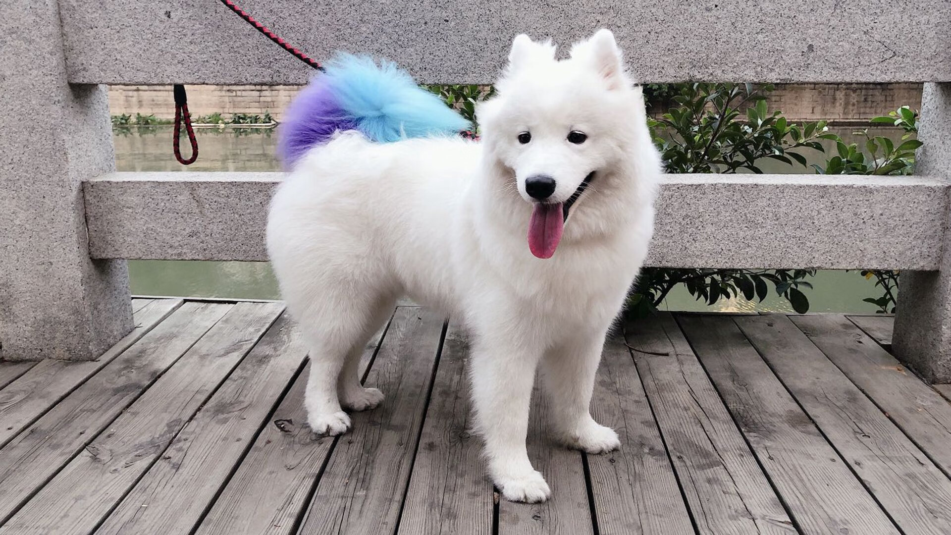 当靴室精神遇见克鲁伊夫转身，加维末节接管利物浦与荷兰的平行宇宙之战