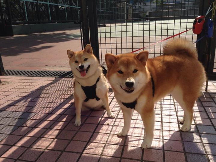 开云体育APP下载-安达卢西亚的烈日与北海的坚冰，唯一扭转战局的力量