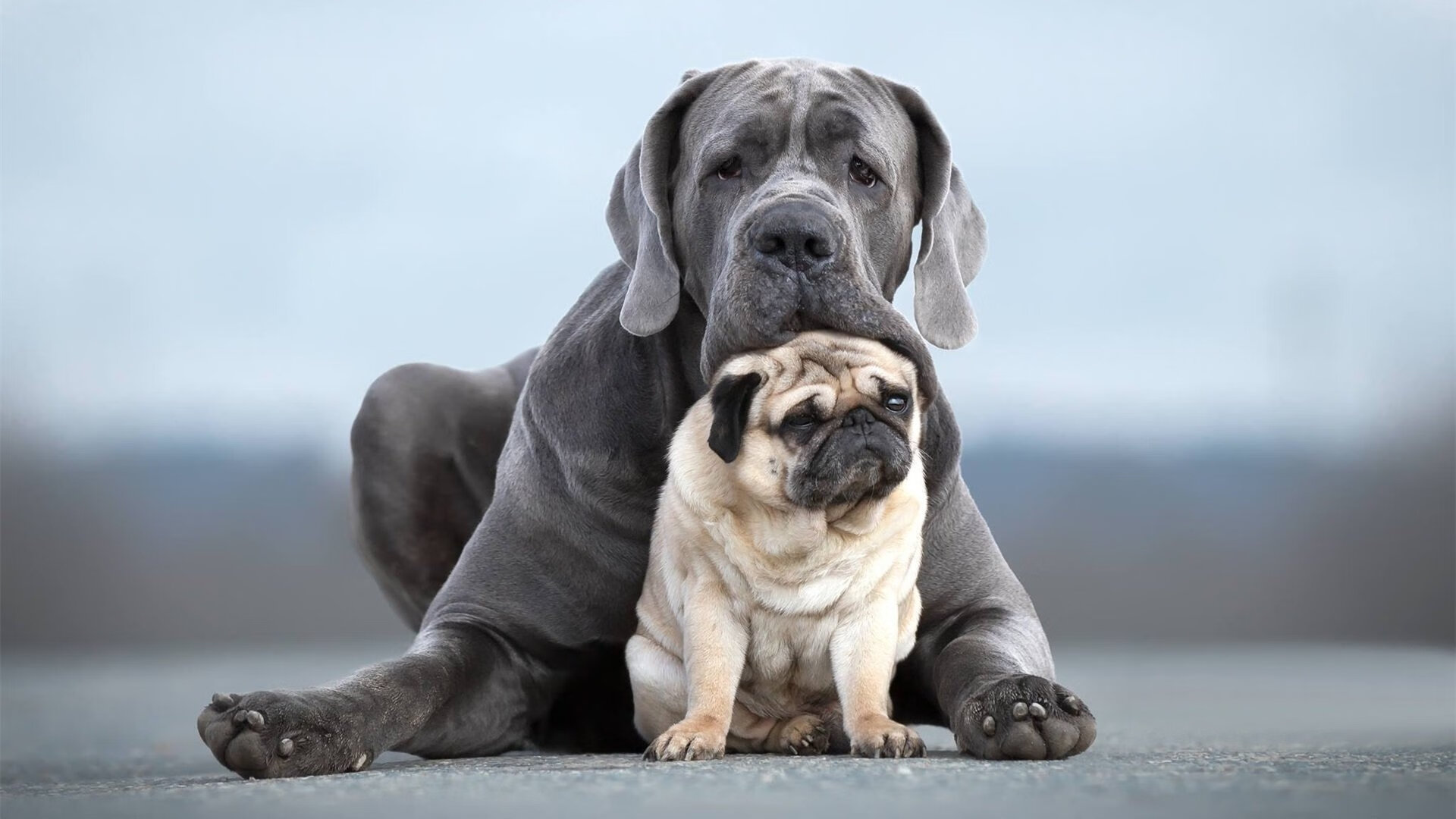 唯一打破马里铁壁的钥匙，久保建英的魔法十分钟