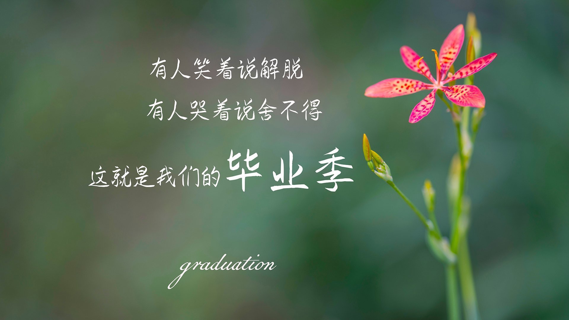 天使之翼与战术绞索，迪马利亚的灵光撕裂美国队的钢铁洪流