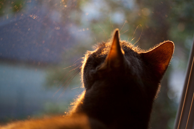 开云体育入口-末节封王！爱德华兹独砍38分率勇士正面击溃北京队，逆境重生诠释关键先生真义